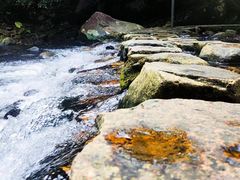 -福清灵石山国家森林公园