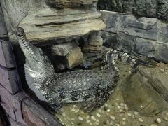 -上海昆虫博物馆