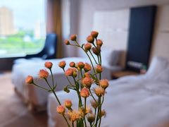 -上海虹桥西郊假日酒店