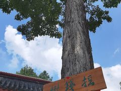 -黔灵山公园