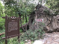 -阳台山自然风景区