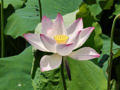 -丝绸小镇荻港古村