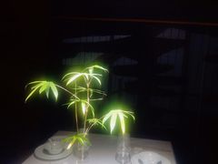 -山壹竹庭院餐厅
