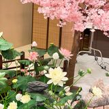 趣玩中秋，鉴赏美食‖正大广场19年周年庆攻略