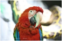 -Zoolung Zoolung动物主题公园(海信广场店)