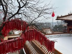 -沂蒙山旅游区云蒙景区(蒙山国家森林公园)