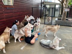-TrueLove @ Neverland (Husky Cafe)