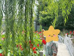-莲池书院博物馆