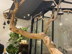 -羲和雅苑•北京烤鸭(国贸商城店)