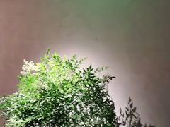 -山里亲戚(淞虹路店)