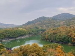 -白马涧龙池景区