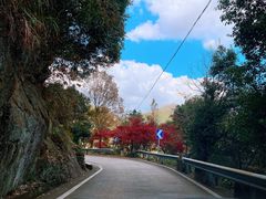 -鹿亭中村