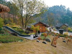 -黄龙溪欢乐田园