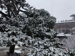 -妙峰山风景名胜区