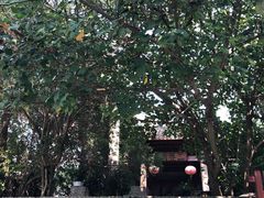 -扬美古镇景区