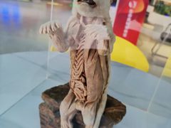 -生命奥秘博物馆