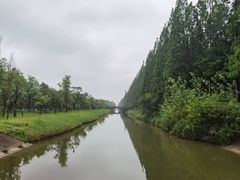 -黄海国家森林公园