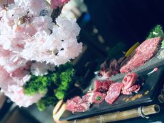-樱宿日式和牛烧肉(五道口店)