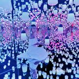 魔都看展|teamlab一部手机出大片的展览