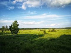 -塞罕坝国家级自然保护区