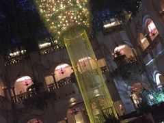 -深圳东部华侨城茵特拉根酒店