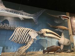 -浙江自然博物院(杭州馆)