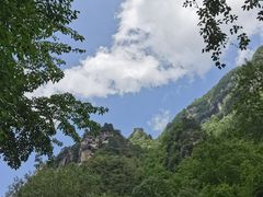 -青峰峡国家森林公园