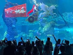 -哈尔滨波塞冬海底世界