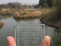 -梁鸿国家湿地公园