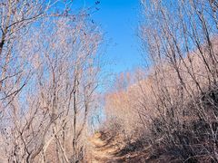 -灵山