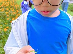 -前小桔亲子创意农场·草莓采摘·露营烧烤