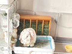 -北京观赏动物医院·24小时大型综合·猫专科·异宠专科