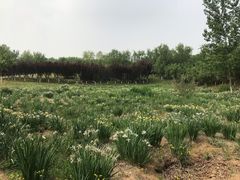 -永定河休闲森林公园