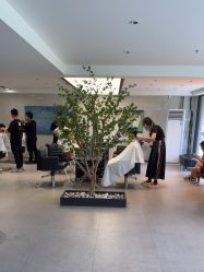 -付军剪艺JF ProSalon