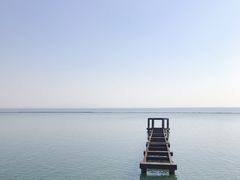 -贡湖湾湿地公园