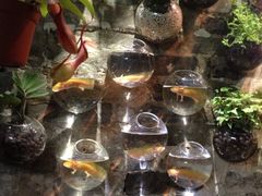 iphone_upload_pic-小洲村