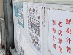 -洪馨椰子