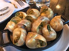 -金蜗牛