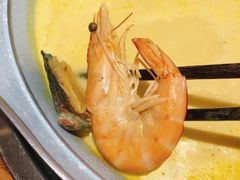 青瓷金汤锅-青瓷火锅料理(西单大悦城店)