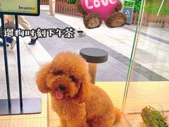 -BeauTea水仙(coco park店)