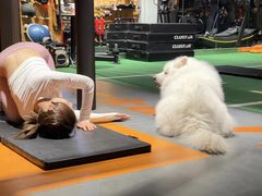 -蜗牛健身·私教馆(海珀香庭店)