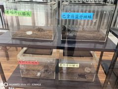 -哈尔滨北方森林动物园