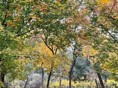 -元大都城垣遗址公园