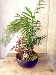 -ＤＯＭＯプロの美容サロン