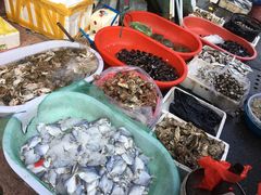 -芦潮港集贸市场