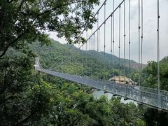 -石燕湖生态旅游景区