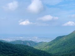 -大姆山草场