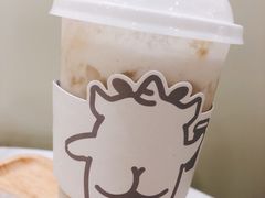 双蛋小皇椰（白屁屁）-茶力的小怪兽(梅林卓悦汇店)