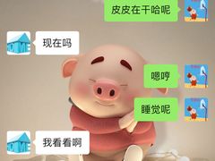 -宠物之家Pets Home 宠物寄养酒店