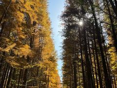 -敬亭山风景名胜区